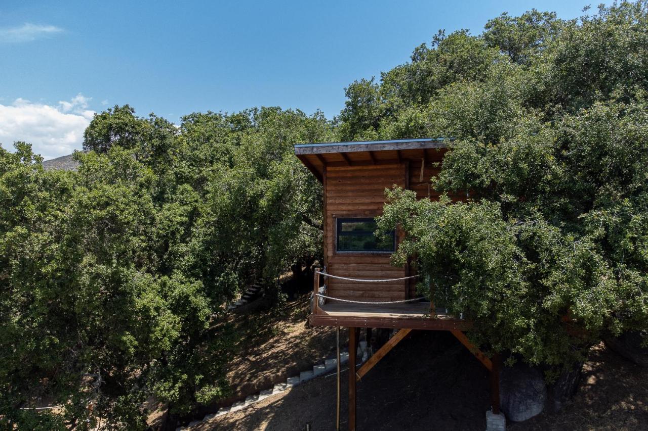 Boskenvid Hotel Boutique, Skypool Valle de Guadalupe Exterior photo